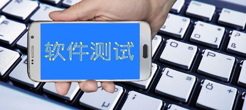 南京軟件測試與軟件開發(fā)培訓(xùn)就業(yè)前景解析 機(jī)遇、選擇與建議